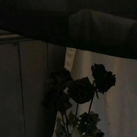 𝑪