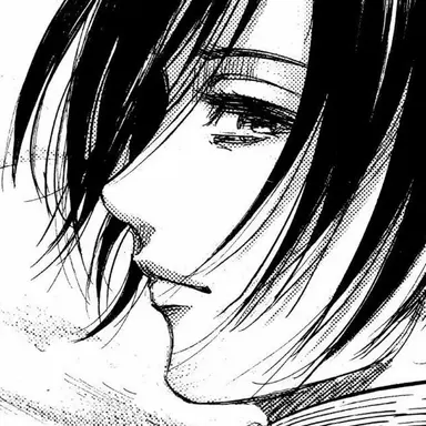 Profile image of ミカサ