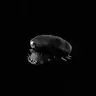Profile image of B