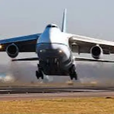 Profile image of Au-124