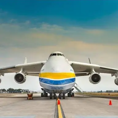 Profile image of Au-225