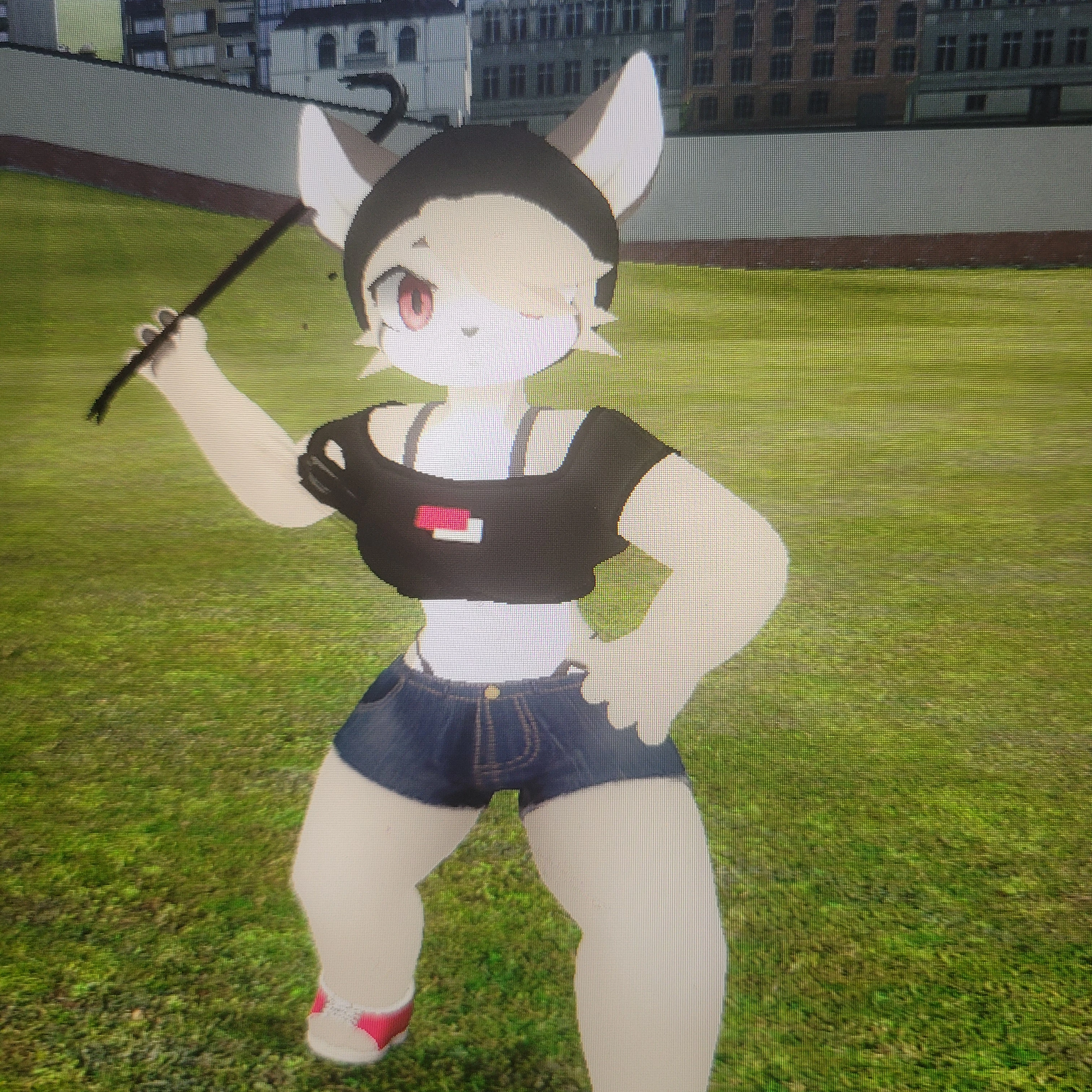 미샤