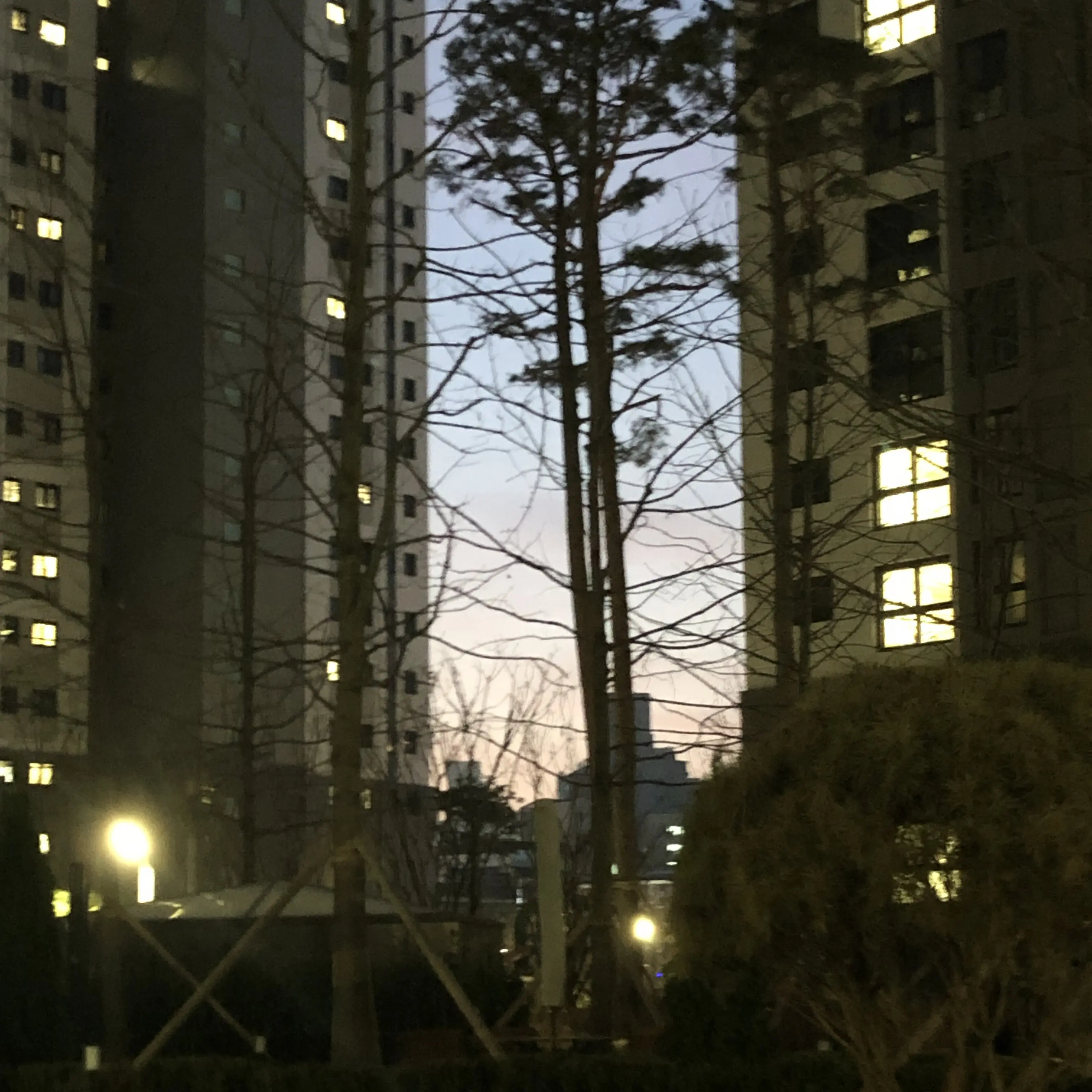 LightCurry7581의 엄.....