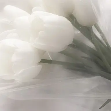 Profile image of 안칠현