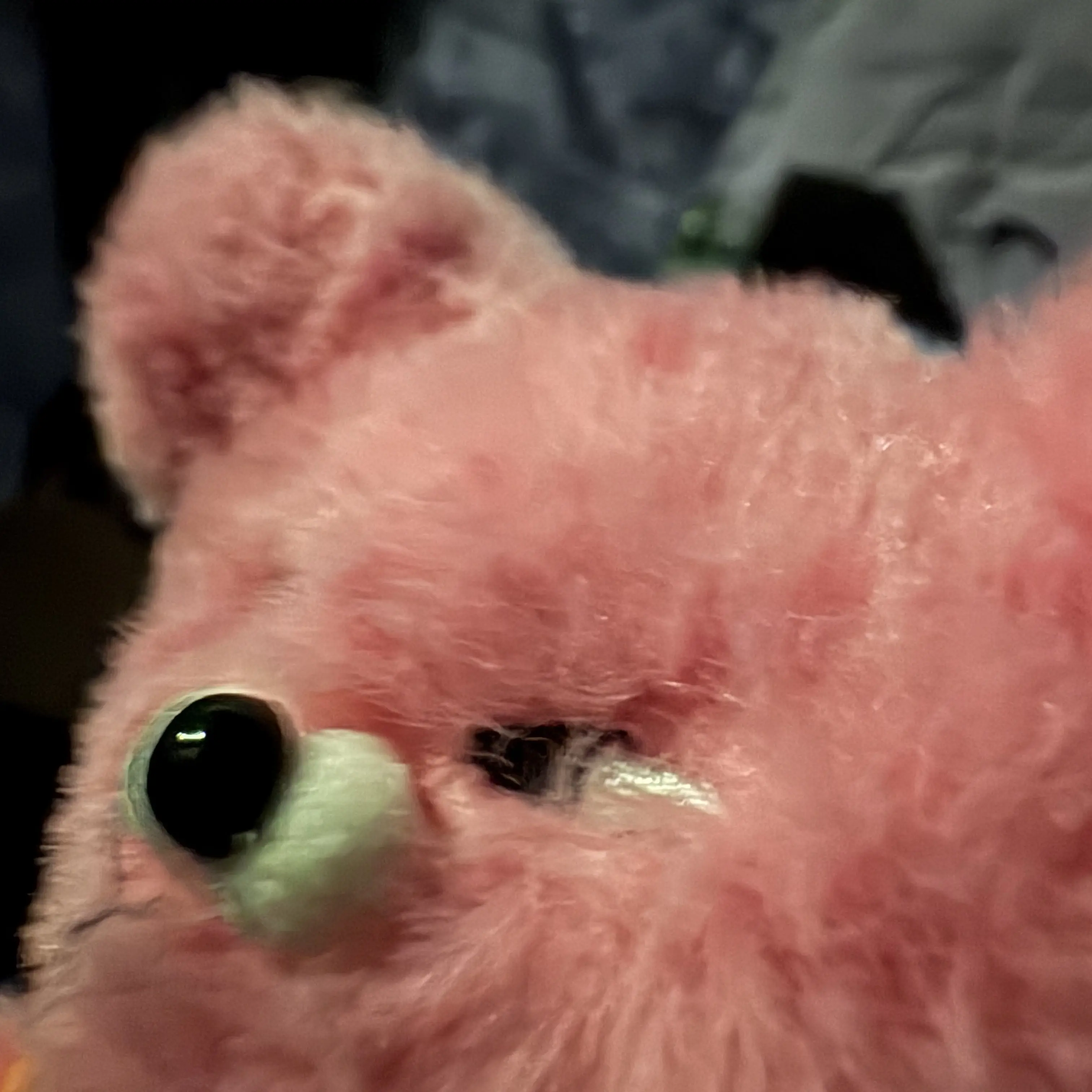 HappyGrape5934의 여우와 주들을 술먹기