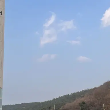 Profile image of 정공룡