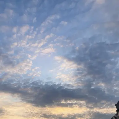 Profile image of 냐냐