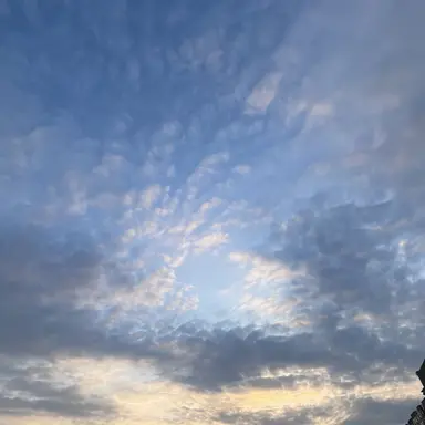 Profile image of 서라더