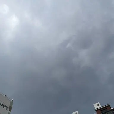 Profile image of 이유지