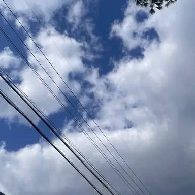 Profile image of 황수현