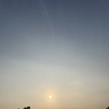 Profile image of 박덕개