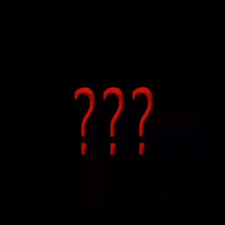 YEAP의 토끼