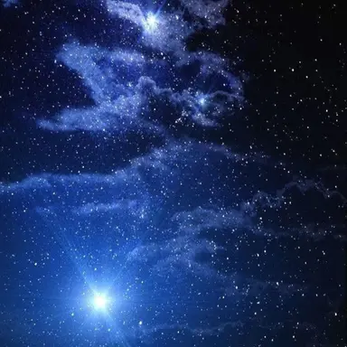 Profile image of 고세구