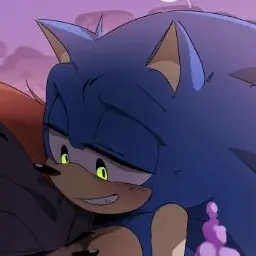 SONADOW_의 Sonic found you hurt