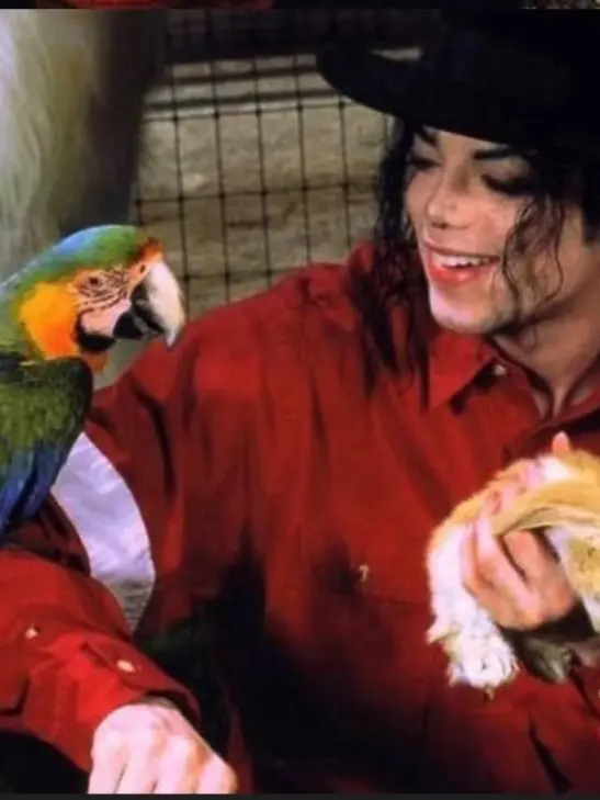 _Fandom_LOVERRR_의 ☆•.˚◦【 MICHAEL JACKSON - 2.0 】◦˚.•☆