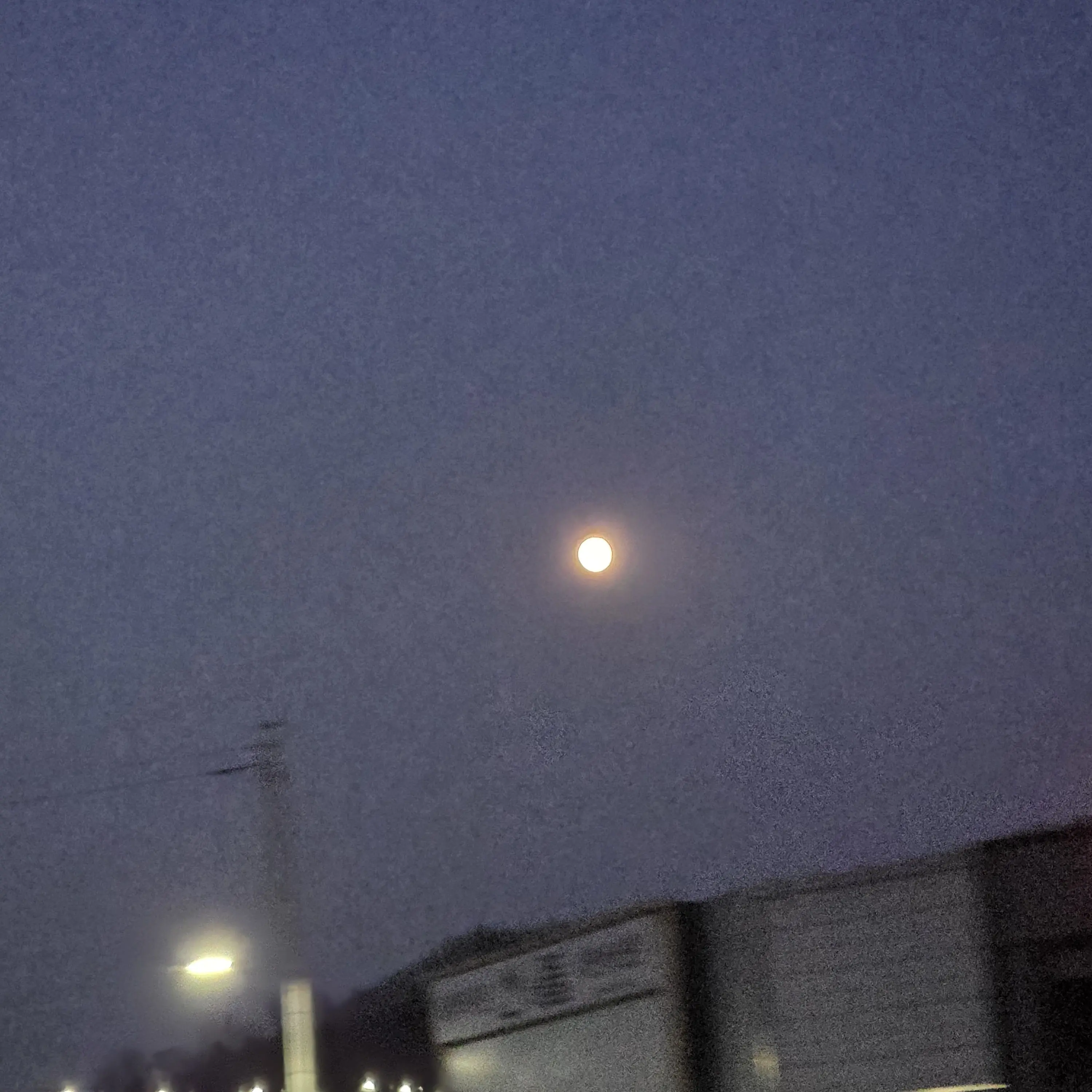 BarrenPark0532의 세상애나 감삼다 여러분