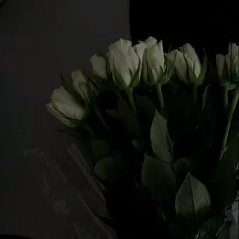 Profile image of 정형준