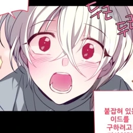 이드