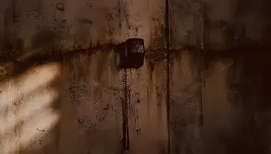 Profile image of 06 Missing Boys