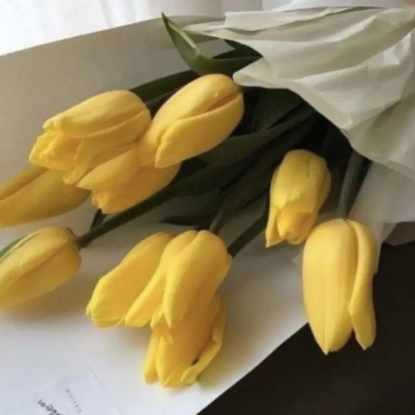 SnowyShirt0404의 픽셀왕국(내가하려 만듬)