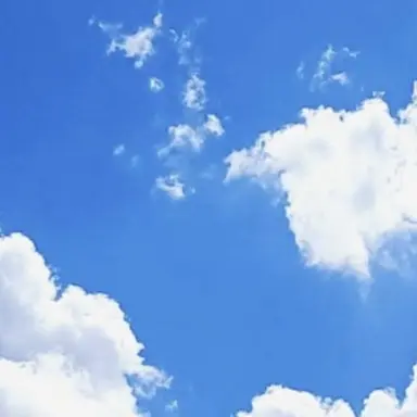 Profile image of 잠뜰