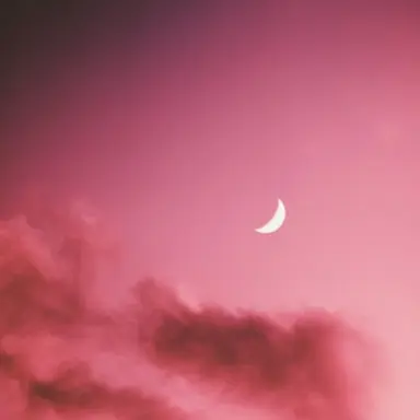 Profile image of 라더