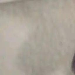 Profile image of 김동현