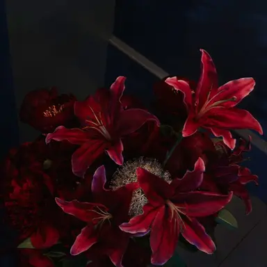 Profile image of 라더