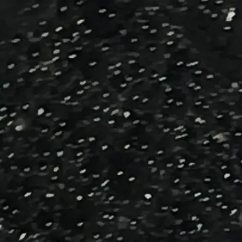 Profile image of 샤갈