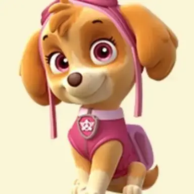 Profile image of スカイ