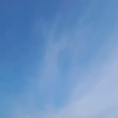 Profile image of 자유롭게