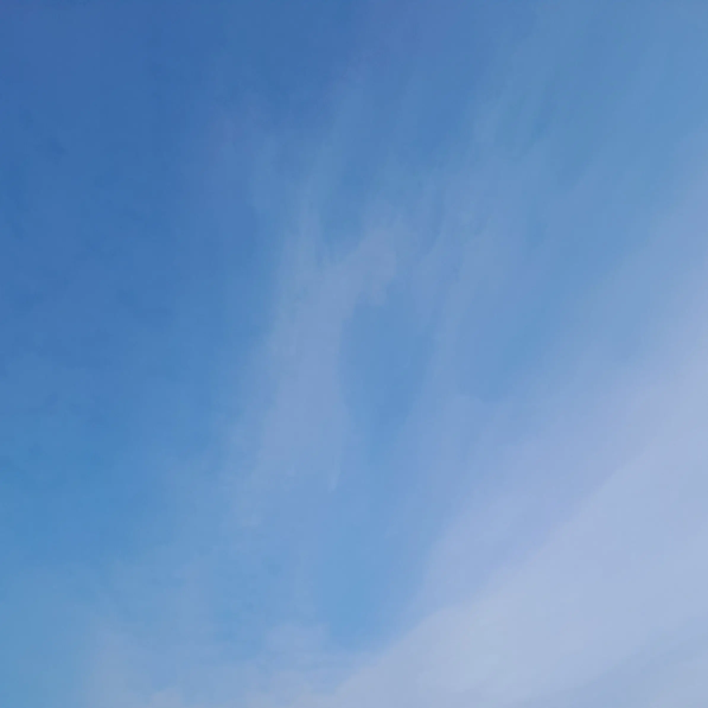 MadOkapi7767의 자유롭게 하세요