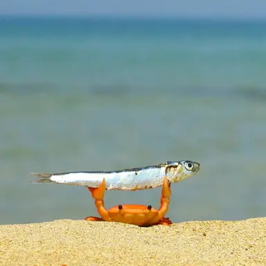 Profile image of 강시경