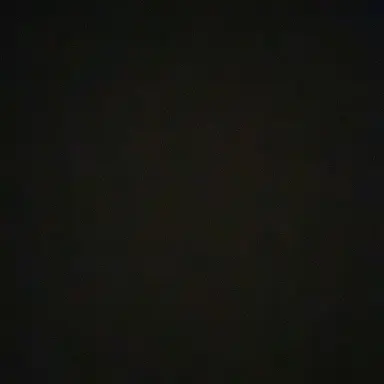 Profile image of 김규빈