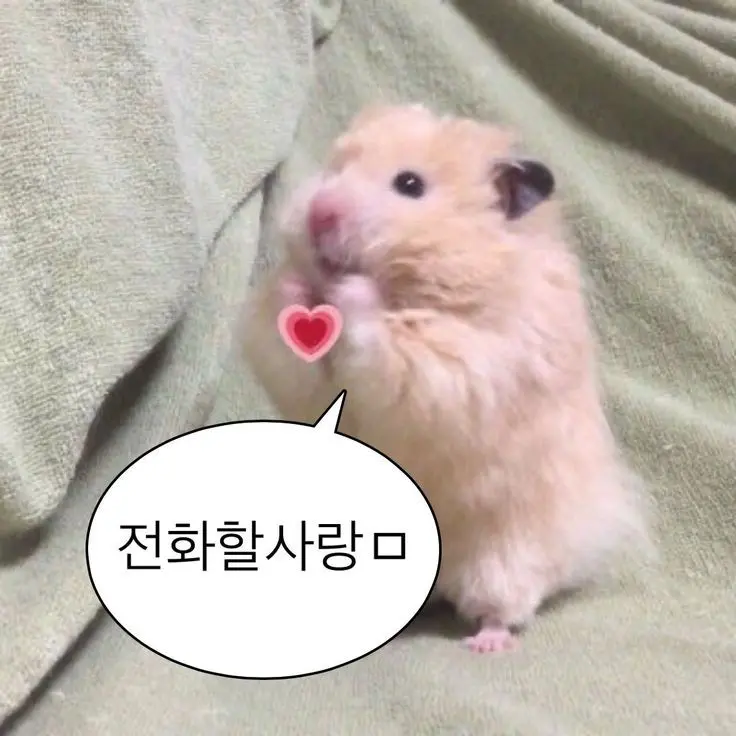 DimCost9565의 윤관