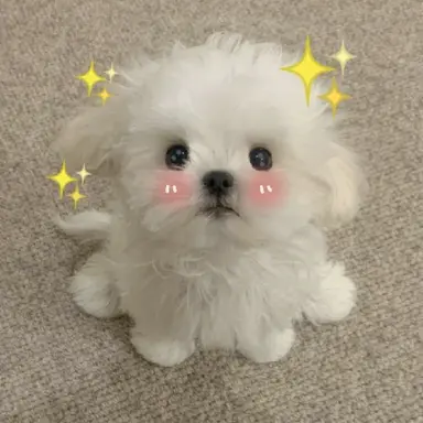 Profile image of みんぎゅ