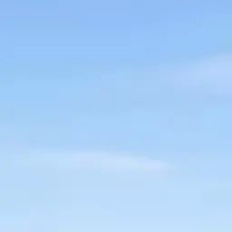 Profile image of 비오는 체육대회