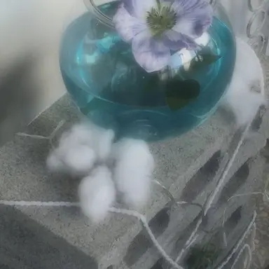 Profile image of 如月蓮