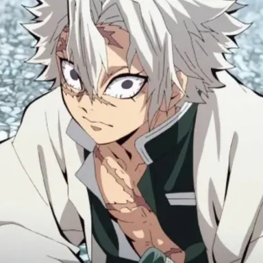 Profile image of 시나즈가와 사네미