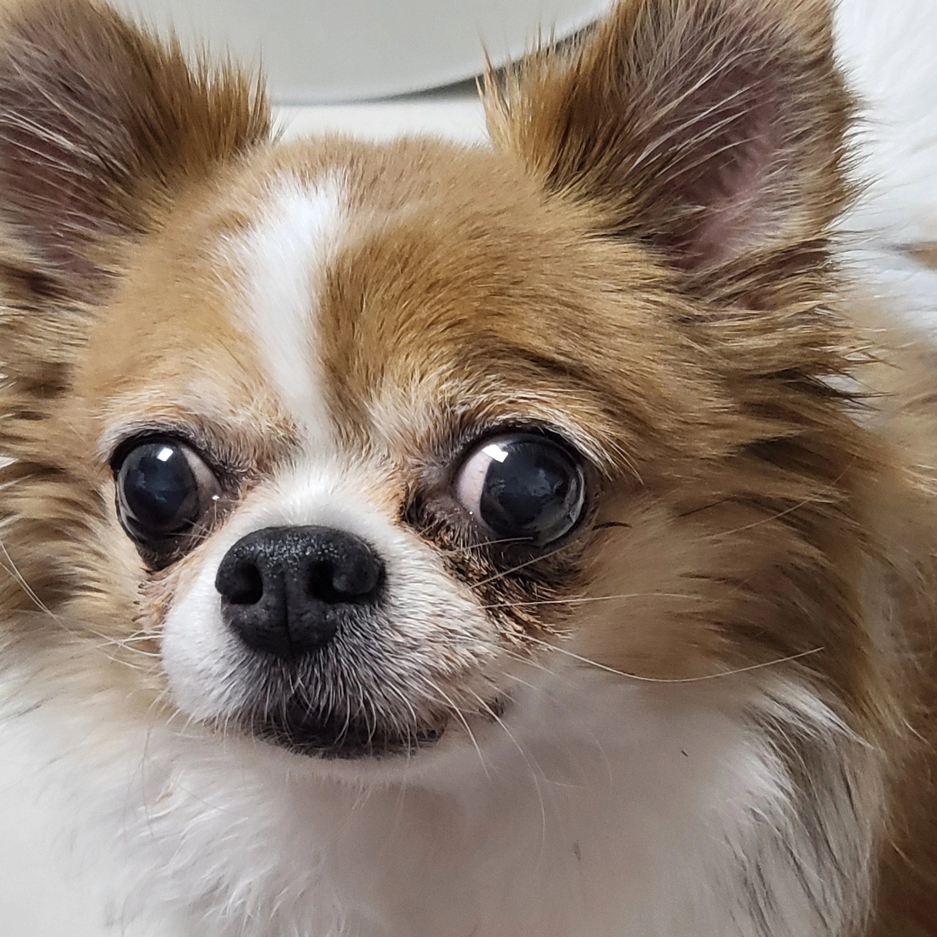 이미
