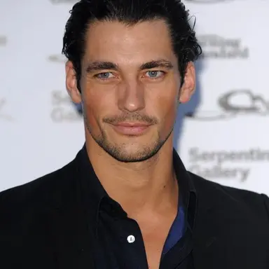 Profile image of David Gandy