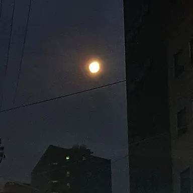 Profile image of 선아현