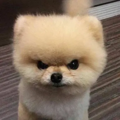 Profile image of 여학생들