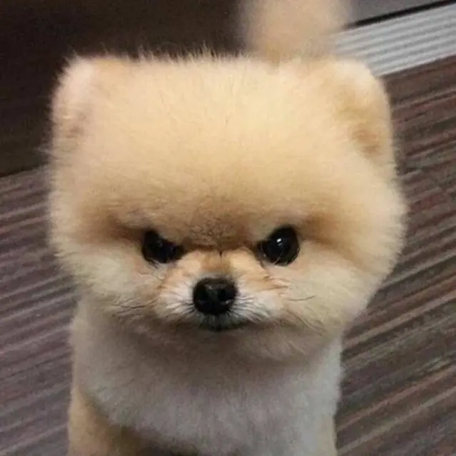 inseng1267394의 귀멸 여고에서 남자쌤으로 살긔