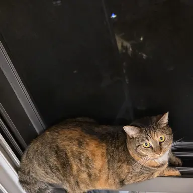 Profile image of 아름