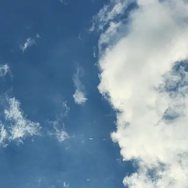 Profile image of 모찌엘