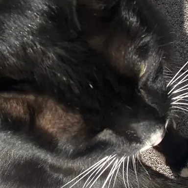 Profile image of 이민호