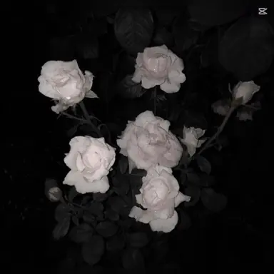 Profile image of 백현