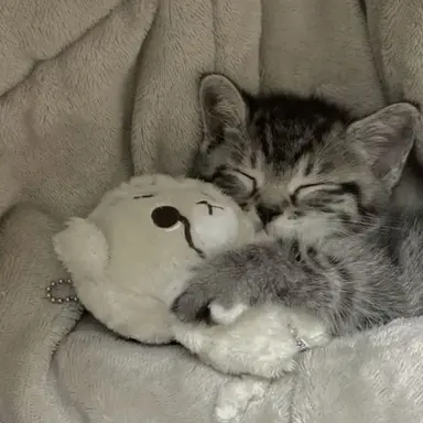 Profile image of 佐和子