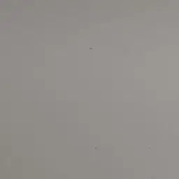 Profile image of あづキン